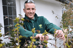 E F E B C F D F F Man trimming plants